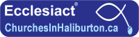 Haliburton